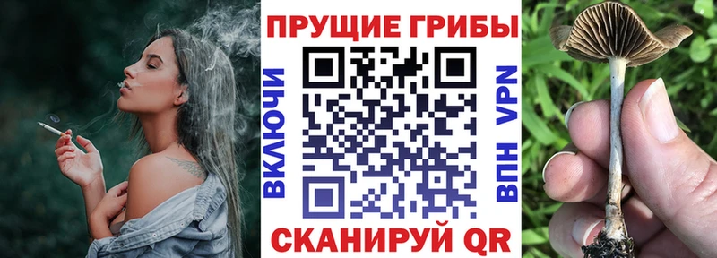 Галлюциногенные грибы ЛСД  Анапа 